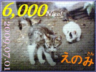 2009.nekomaro card 6,000 Nice! えのみさん。.jpg