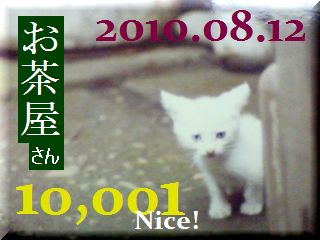 2010.ねこ麻呂 card 10,001 Nice! お茶屋さん。.jpg