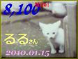 2010.ねこ麻呂 card 8,100 Nice! るるさん。1.jpg