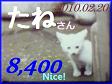 2010.ねこ麻呂 card 8,400 Nice! たねさん。1.jpg