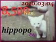 2010.ねこ麻呂 card 8,500 Nice! hippopo さん。1.jpg