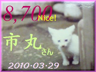 2010.ねこ麻呂 card 8,700 Nice! 市丸さん。.jpg