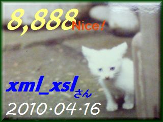 2010.ねこ麻呂 card 8,888 Nice! xml_xsl さん。.jpg