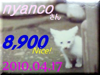 2010.ねこ麻呂 card 8,900 Nice! nyanco さん。.jpg