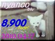 2010.ねこ麻呂 card 8,900 Nice! nyanco さん。1.jpg