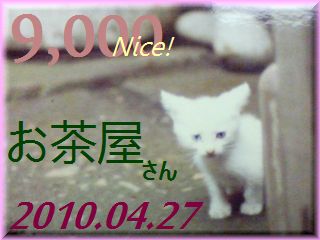 2010.ねこ麻呂 card 9,000 Nice! お茶屋さん。.jpg