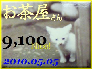 2010.ねこ麻呂 card 9,100 Nice! お茶屋さん。.jpg