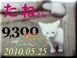2010.ねこ麻呂 card 9,300 Nice! たねさん。1.jpg