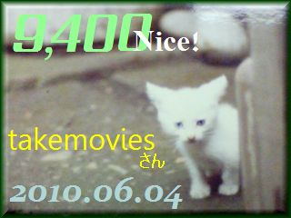 2010.ねこ麻呂 card 9,400 Nice! takemovies さん。.jpg