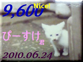 2010.ねこ麻呂 card 9,600 Nice! ぴーすけ君。.jpg