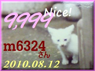 2010.ねこ麻呂 card 9,999 Nice! m6324 さん。.jpg